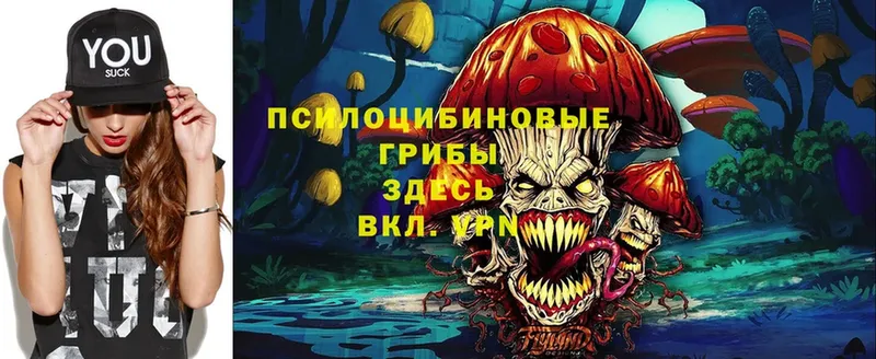 Галлюциногенные грибы Psilocybe  дарнет шоп  Десногорск 