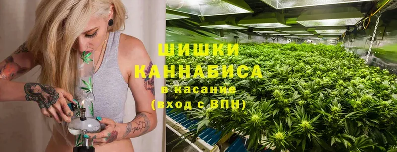 darknet наркотические препараты  hydra зеркало  Десногорск  сколько стоит  Канабис SATIVA & INDICA 